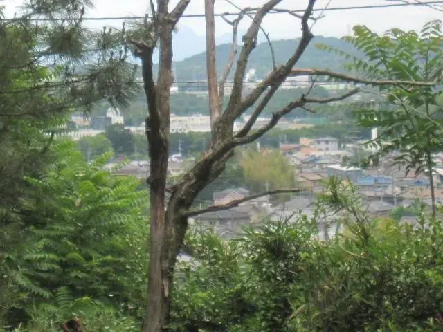 5DK Property Kiryu City Gunma Prefecture (35)