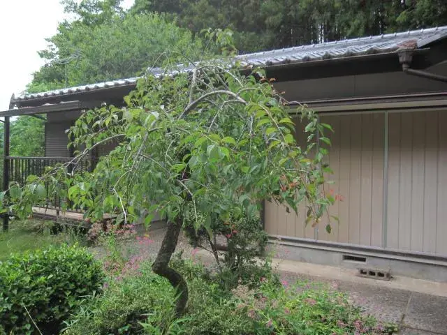 5DK Property Kiryu City Gunma Prefecture (6)