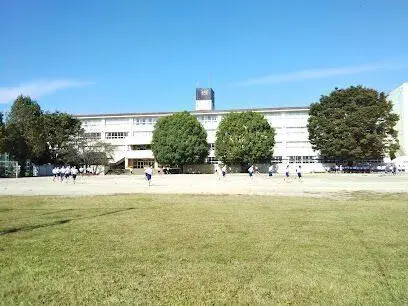 Slide 8