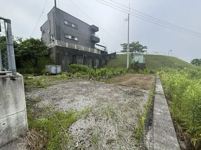 Slide 11