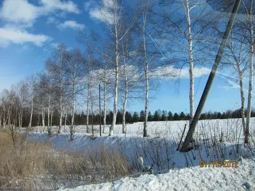 2LDK Shimizu-cho Hokkaido (19)