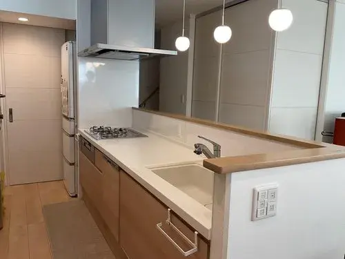 四室两厅加储藏室 札幌市 北海道 (12)