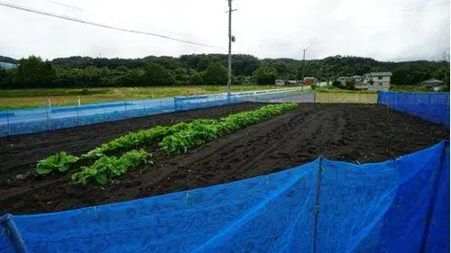 Propiedad 6DK Pueblo de Kawasaki Prefectura de Miyagi (14)