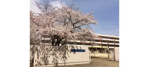 3LDK物件 取手市 茨城県 (17)