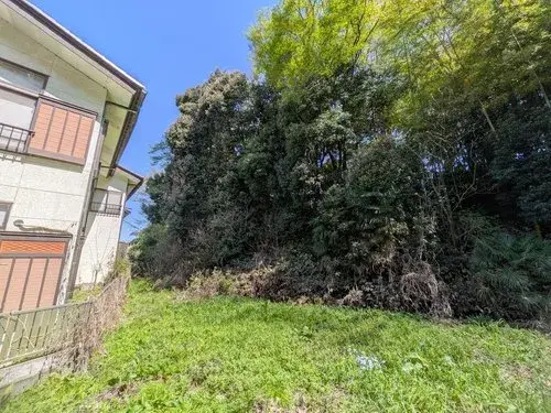 Slide 8