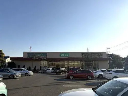 4LDK Property Saitama City Saitama Prefecture (23)