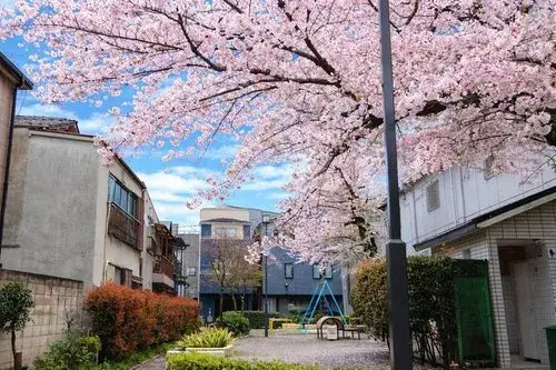 2LDK Property Arakawa Ward Tokyo (5)