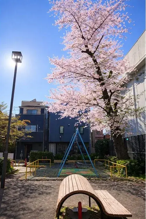 2LDK Property Arakawa Ward Tokyo (8)