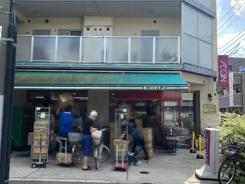 2LDK+S Property Edogawa Ward Tokyo Prefecture (19)