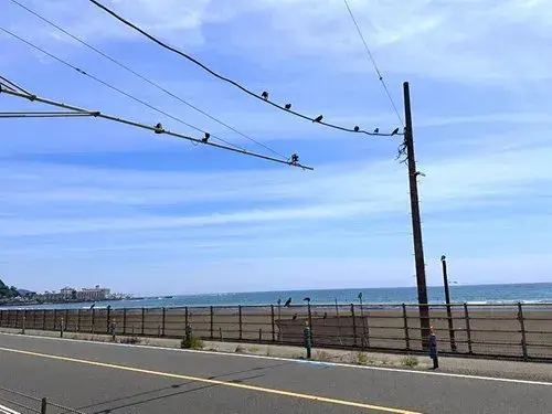 4LDK Город Kamakura, префектура Kanagawa (6)