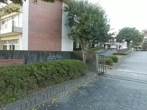Slide 0