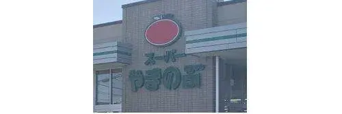 4LDK Property Toyota City Aichi Prefecture (7)