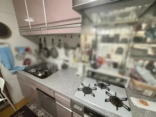 [4DK Property] Toyonaka City Osaka Prefecture (10)