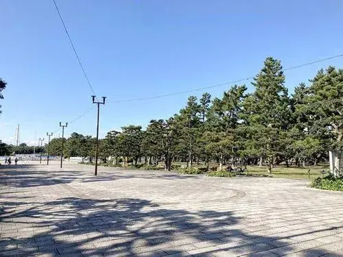 1LDK+S Property Sakai City Osaka Prefecture (11)