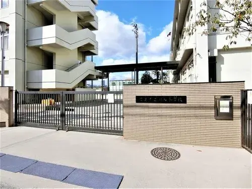 Slide 5