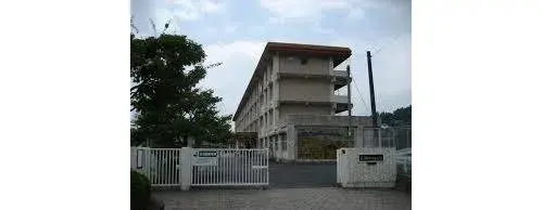 Slide 7