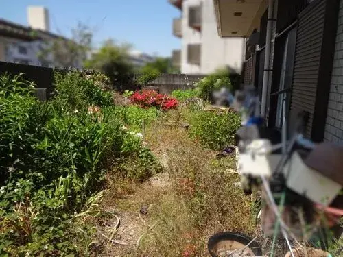 [6LDK+S Property] Kochi City Kochi Prefecture (2)