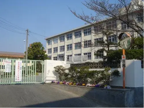 Slide 11