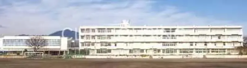 Slide 6