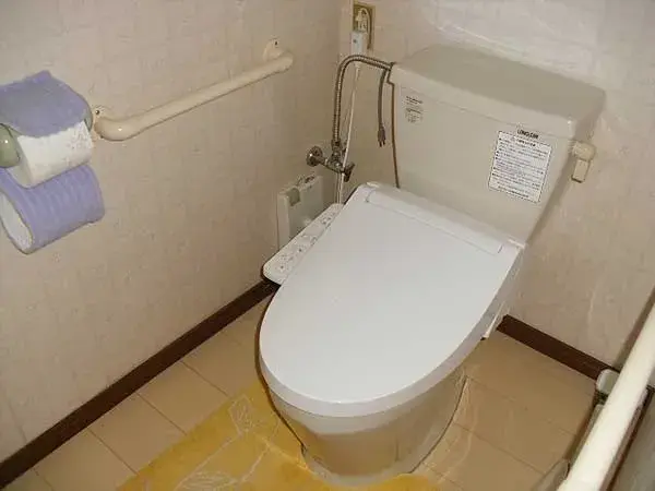 4DK Ciudad de Oshu, Prefectura de Iwate (7)