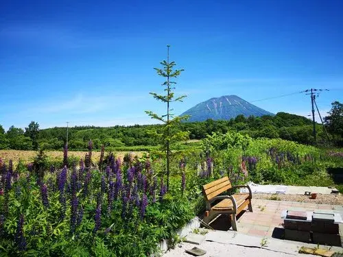 1LDK物件 虻田郡真狩村 北海道 (18)