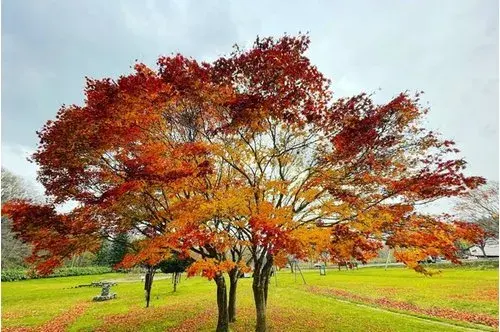 1LDK物件 虻田郡真狩村 北海道 (20)