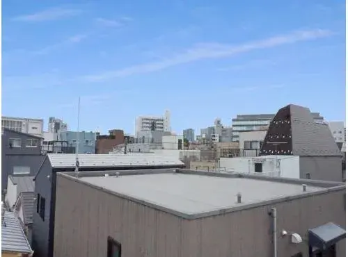 2LDK+S Property Koto Ward Tokyo (14)