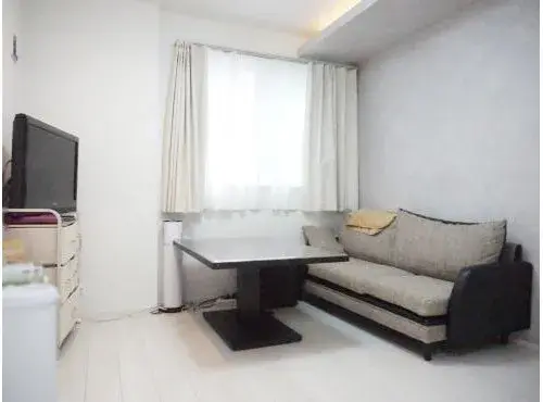 2LDK+S Property Koto Ward Tokyo (5)
