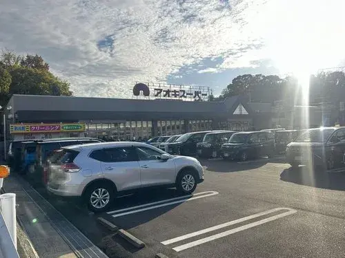 3LDK Okazaki City Aichi Prefecture (16)