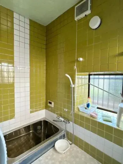 4DK مدينة كوماموتو محافظة كوماموتو (33)