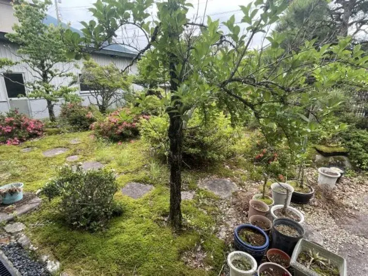 8LDK+Bureau Ville d'Echizen Préfecture de Fukui (7)