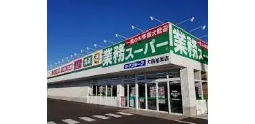 五室两厅一厨物业 北广岛市 北海道 (17)
