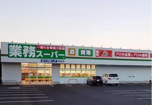 3LDK+2S Sapporo City Hokkaido (8)