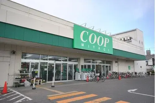 4LDK Property Sendai City Miyagi Prefecture (18)