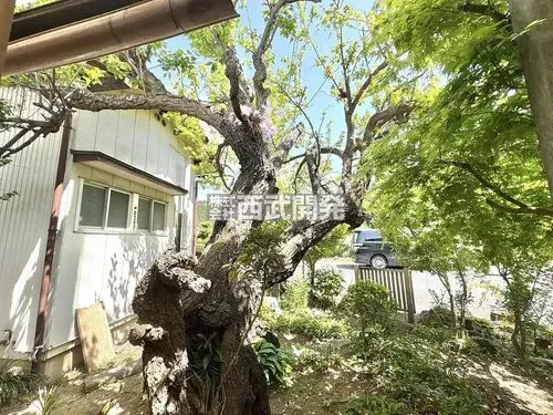 9KK+S房产 饭能市 埼玉县 (7)