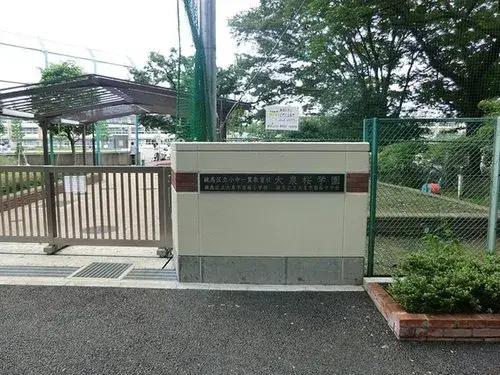 Slide 8