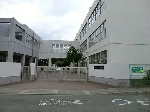Slide 7