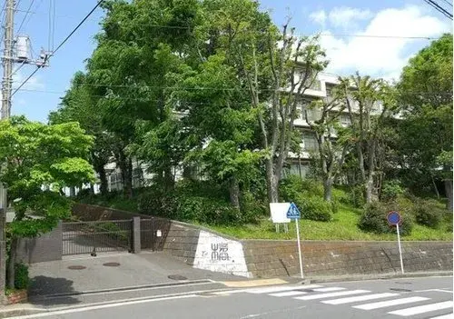 Slide 5