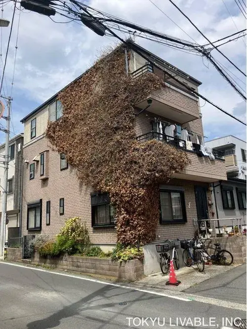 Akiya in Chigasaki