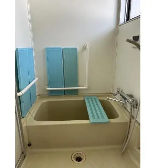 4DK Ciudad de Kofu Prefectura de Yamanashi (11)