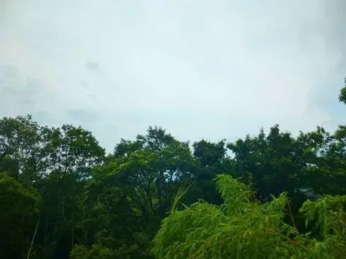 Shizuoka Prefecture Izu no Kuni City 2LDK Property (13)
