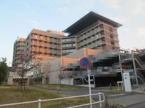 3LDK+S Property Nagoya City Aichi Prefecture (9)