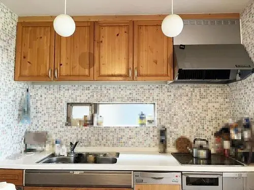 3LDK Property Kobe City Hyogo Prefecture (13)