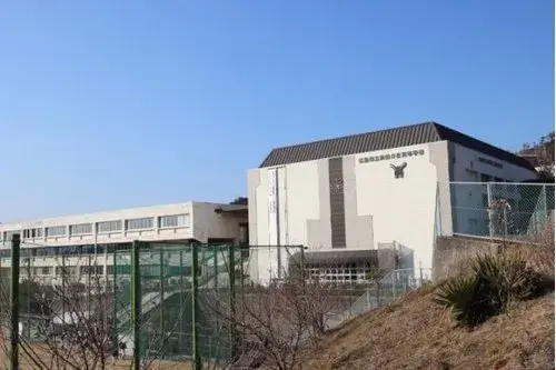 2LDK Property Hiroshima City Hiroshima Prefecture (13)