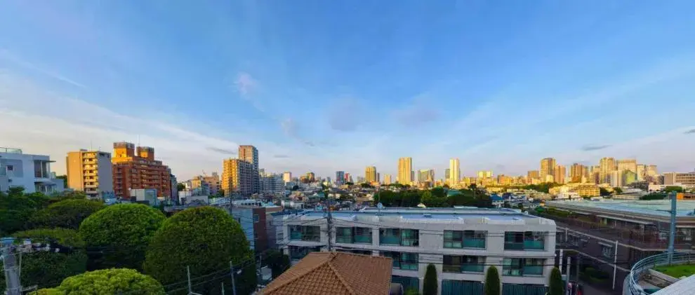 Tokyo Shinagawa Ward 9LDK Property (3)