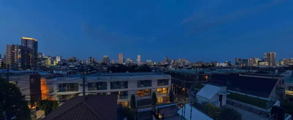Tokyo Shinagawa Ward 9LDK Property (5)