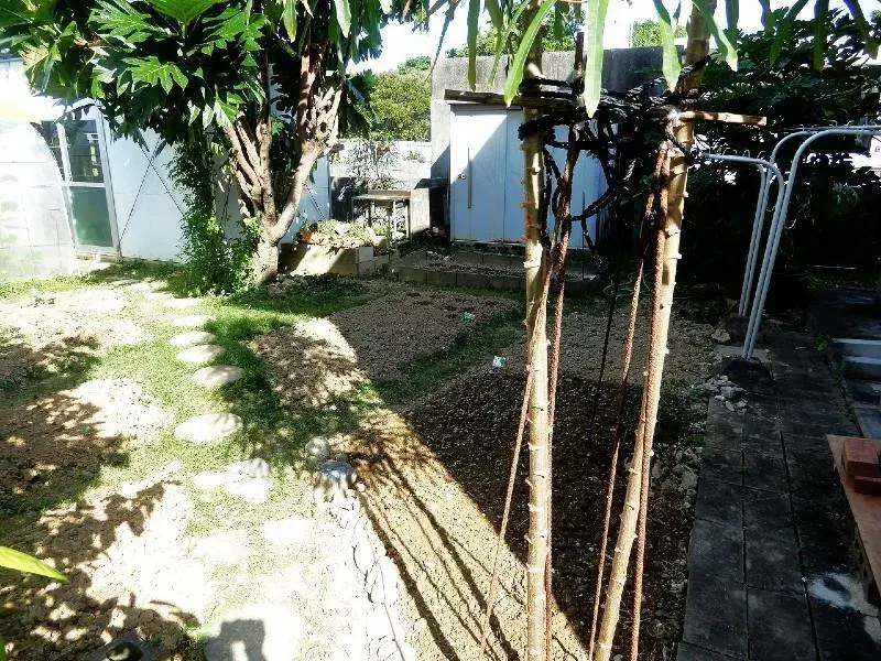 Slide 7