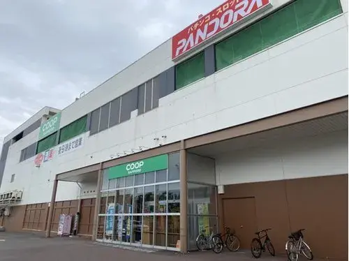 4LDK Property Kitahiroshima City Hokkaido (16)