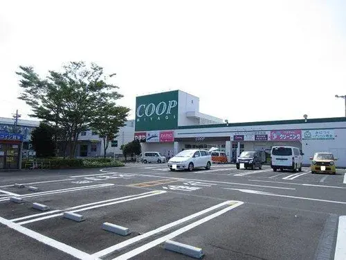 Miyagi Natori 2LDK+S Property (13)