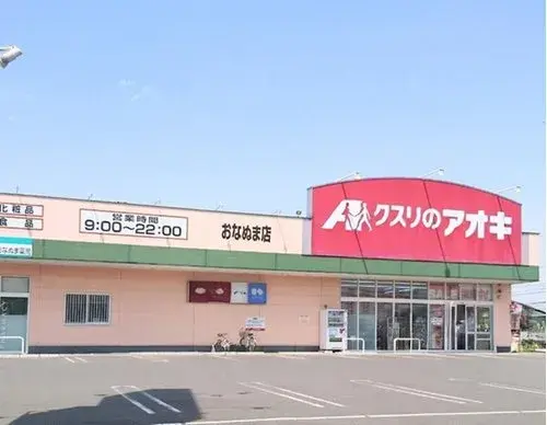 茨城县古河市4LDK房产 (12)